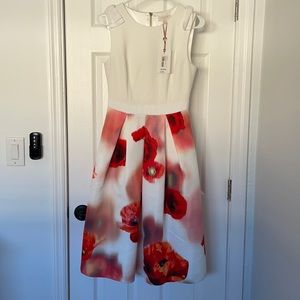 NWT Ted Baker London Midi Dress Size 1